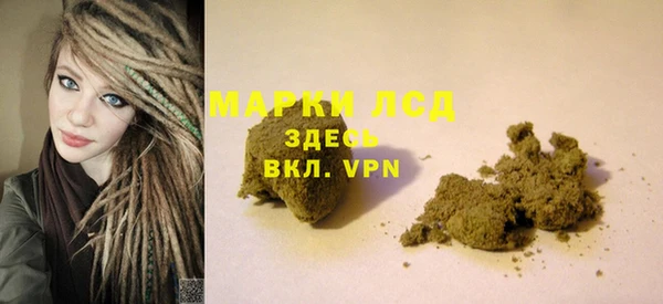 гидра Алексин