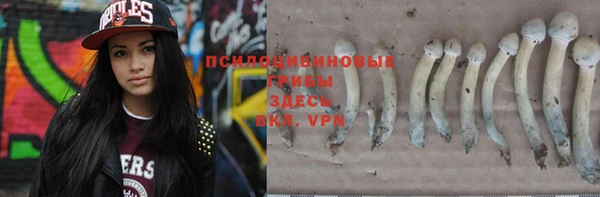 PSILOCYBIN Алексеевка