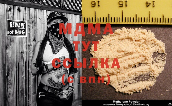 PSILOCYBIN Алексеевка