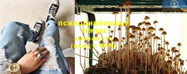 МДПВ Алзамай