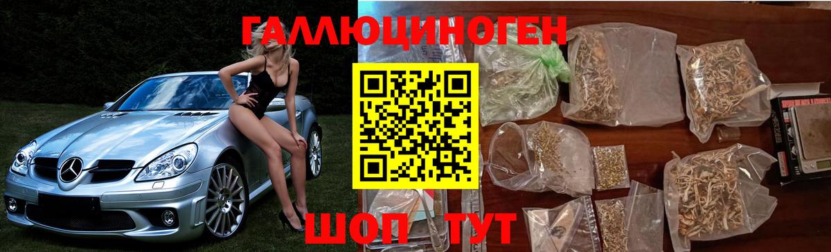 Большой Камень  Галлюциногенные грибы прущие грибы  Вход с VPN  Псилоцибиновые грибы мицелий 