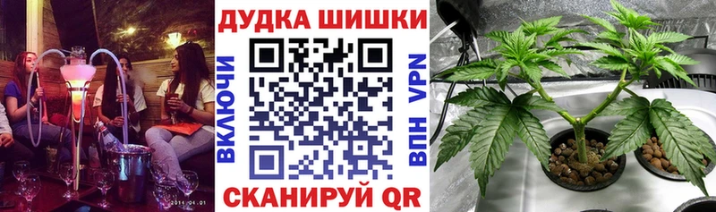 Шишки марихуана сатива  kraken ONION  Большой Камень 